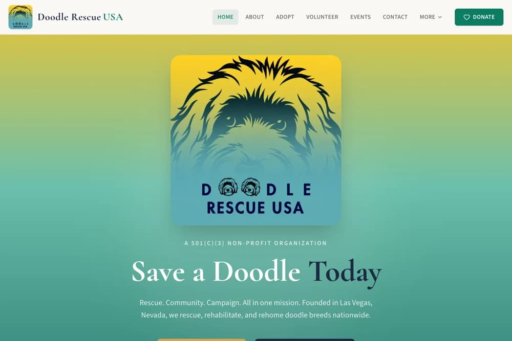 Doodle Rescue USA homepage with its doodle identity, yellow-to-teal background, and main navigation.